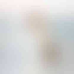 Bride holding veil on beach.