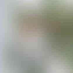 Bride and groom cuddling on balcony