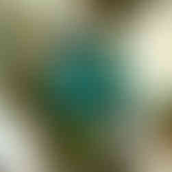 Wedding rings setting in ring box.