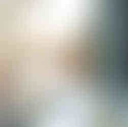 Bride holding bouquet in front of 5Eleven.