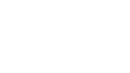 Lemon icon in the logo for branding agent in pensacola florida
