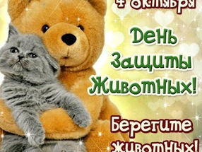 4 октября - Всемирный день животных