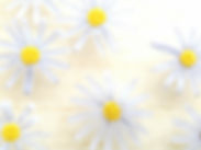 5000171_m.jpg