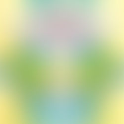 チネイザン