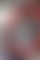 TECHNICAL BULLETIN FOR LATE MODELS AND SPORTSMAN: THE BLADE IS BACK