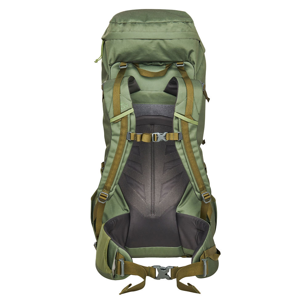 Thumbnail: KELTY ASHER 55 BACKPACK SUSPENSION SYSTEM VIEW