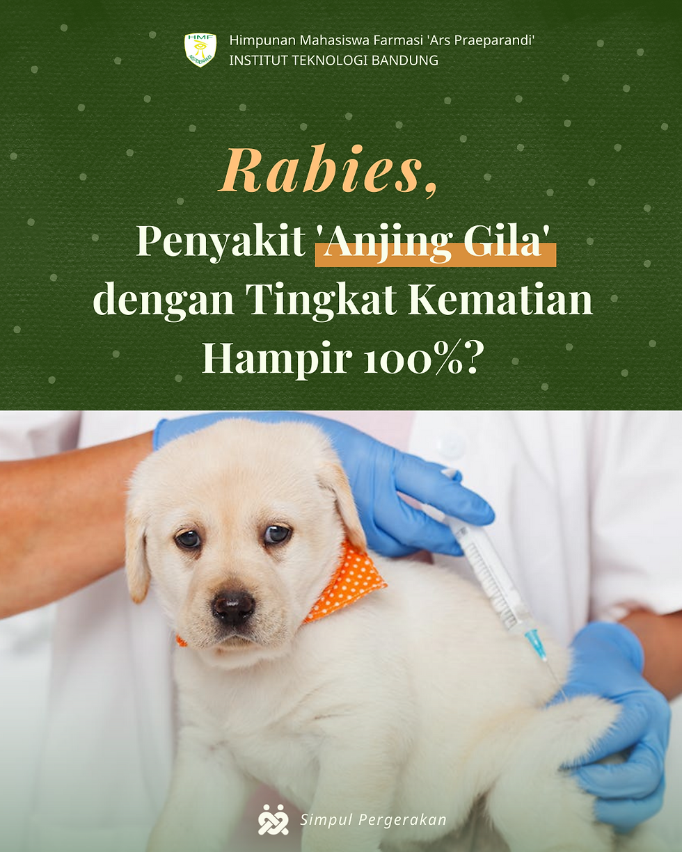 Rabies, Penyakit ‘Anjing Gila’ dengan Tingkat Kematian Hampir 100%?
