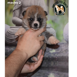09_05_2022 15_14_58 mac 2.png