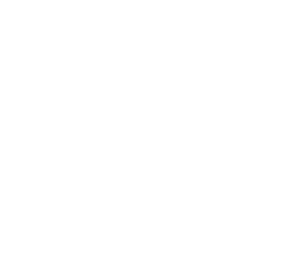 selowfmc.webp