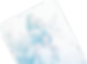 Family bottom.png