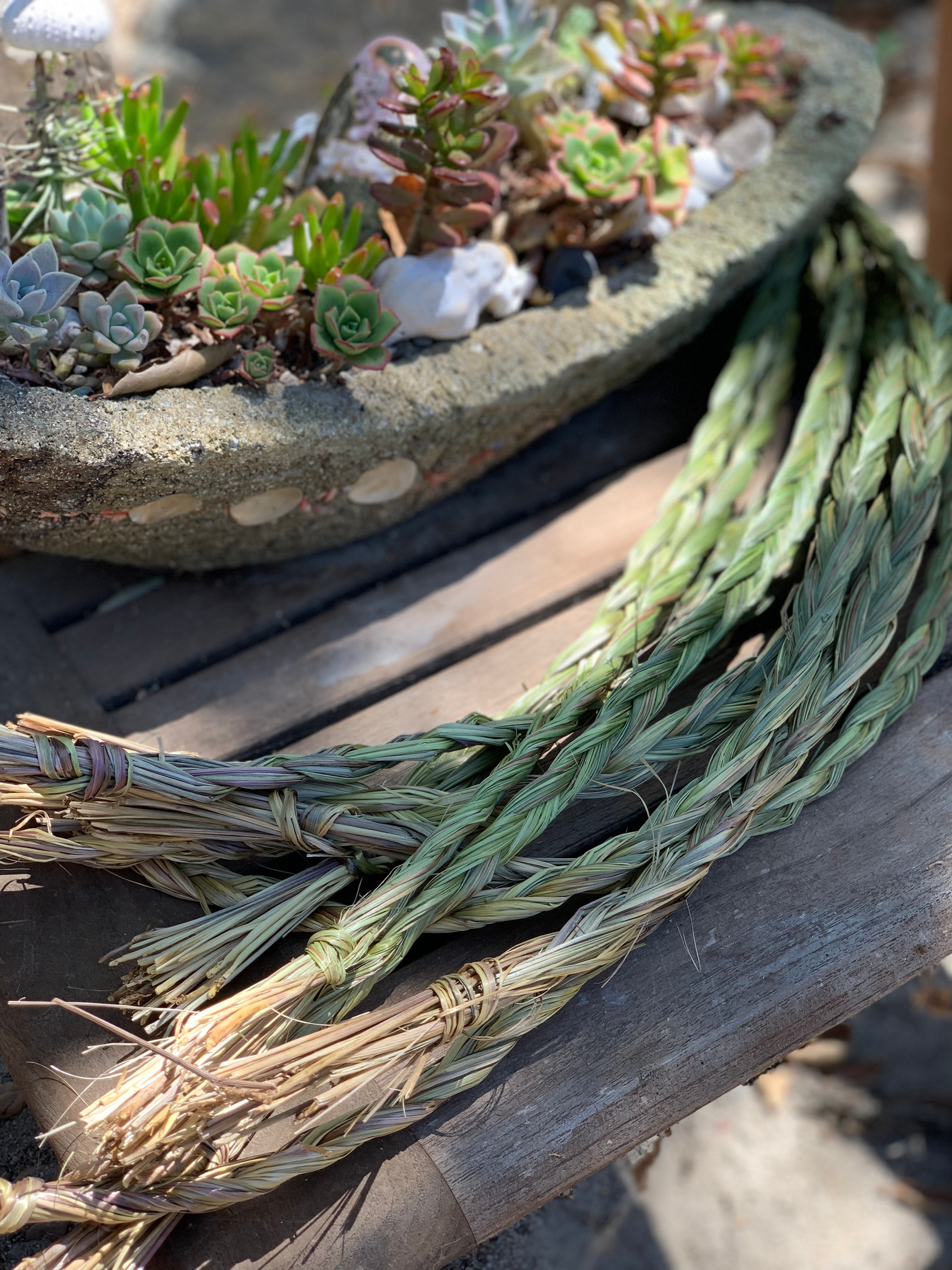 Sweetgrass Braid 25"-30"