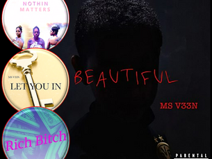 MS V33N – BEAUTIFUL