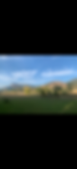 IMG_0592.PNG