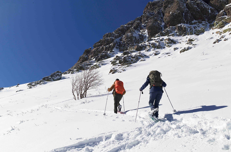 raquette à neige..jpg