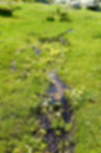 cuscione..jpg