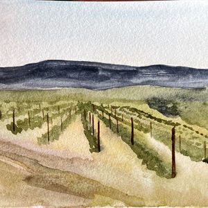 Vigneto