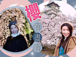 盈悠の孖屋企人「追櫻」