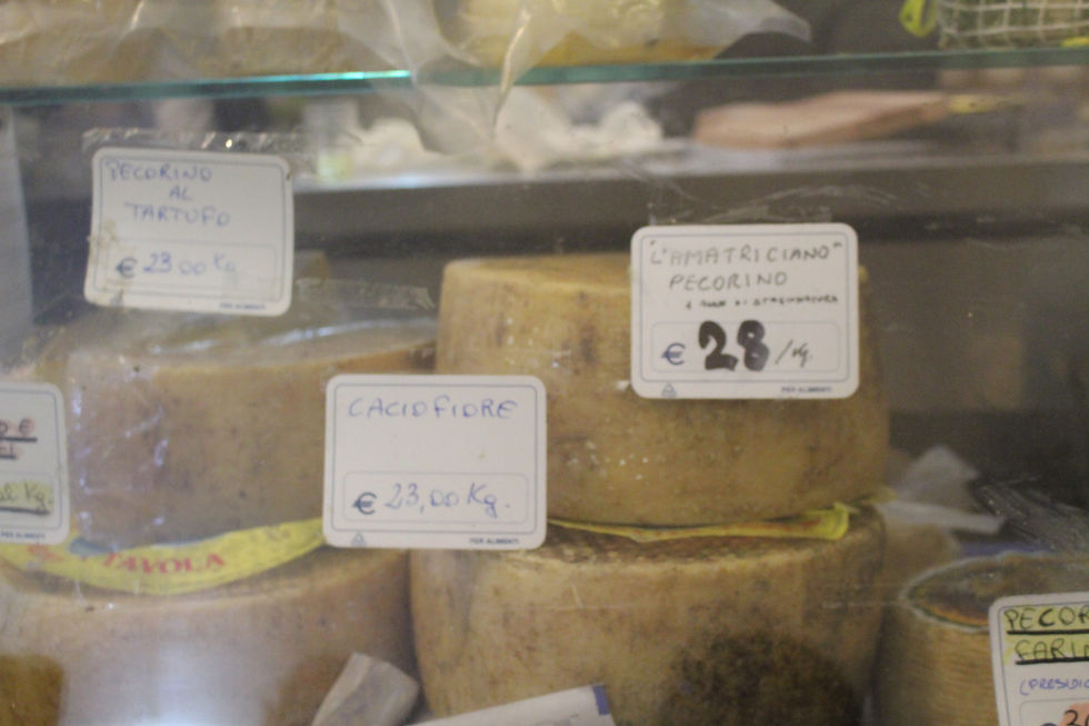 גבינות קשות מחלב כבשים