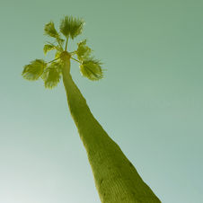 UP UP AND AWAY no.5 wm_DSC5401.jpg