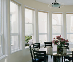Earthwise-single-hung-windows.jpg