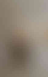 ინტერიერის დიზაინი, სადა ფერები