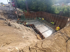 Aretha_BG Bridge_09232020.jpg
