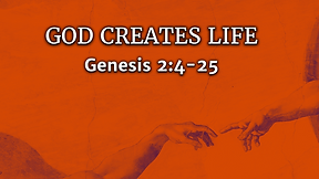 God Creates Life