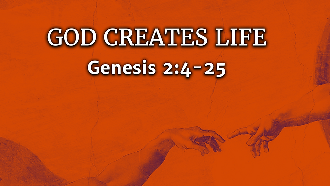 God Creates Life