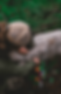 IMG_4004 1-min.png