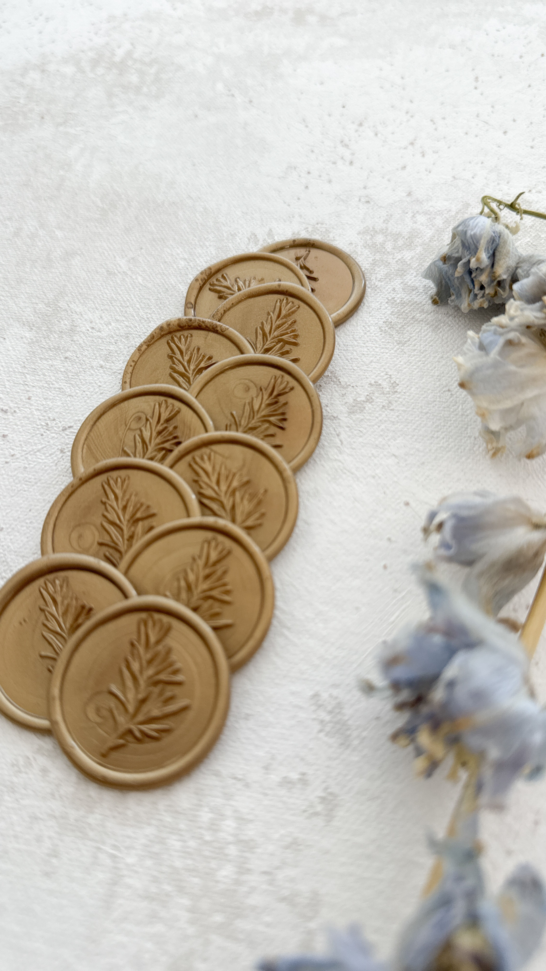 Wax Seals - 30 Prosecco Single Branch