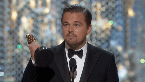 14163408.767444.1614.gif