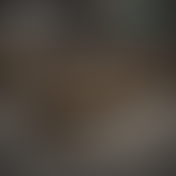 Más Allá del Archivo Muerto: El Verdadero Alcance de la Destrucción Fiscal