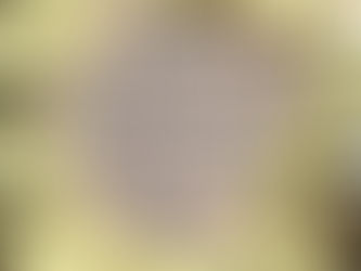 Mexicanas afirman la fuerza que las enorgullece