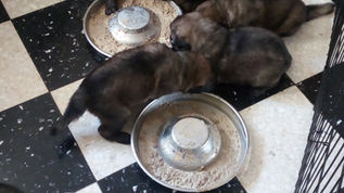 SEMAINE 3 des Rivers