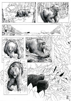 L'ours 2012