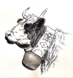 Vache Savoyarde