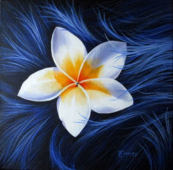 Fleur de frangipanier