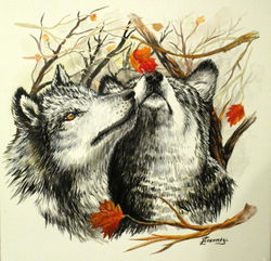 Les loups