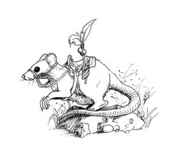 Rat sur pierre