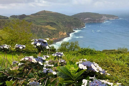 AzorenNordatlantik.jpg