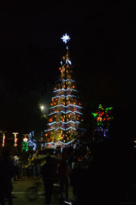 Chrismas Tree—Burnham Park, Baguio City