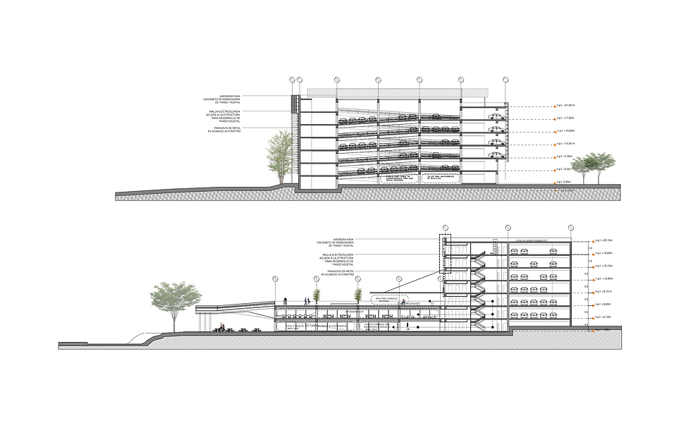 CORTES ARQUITECTONICOS