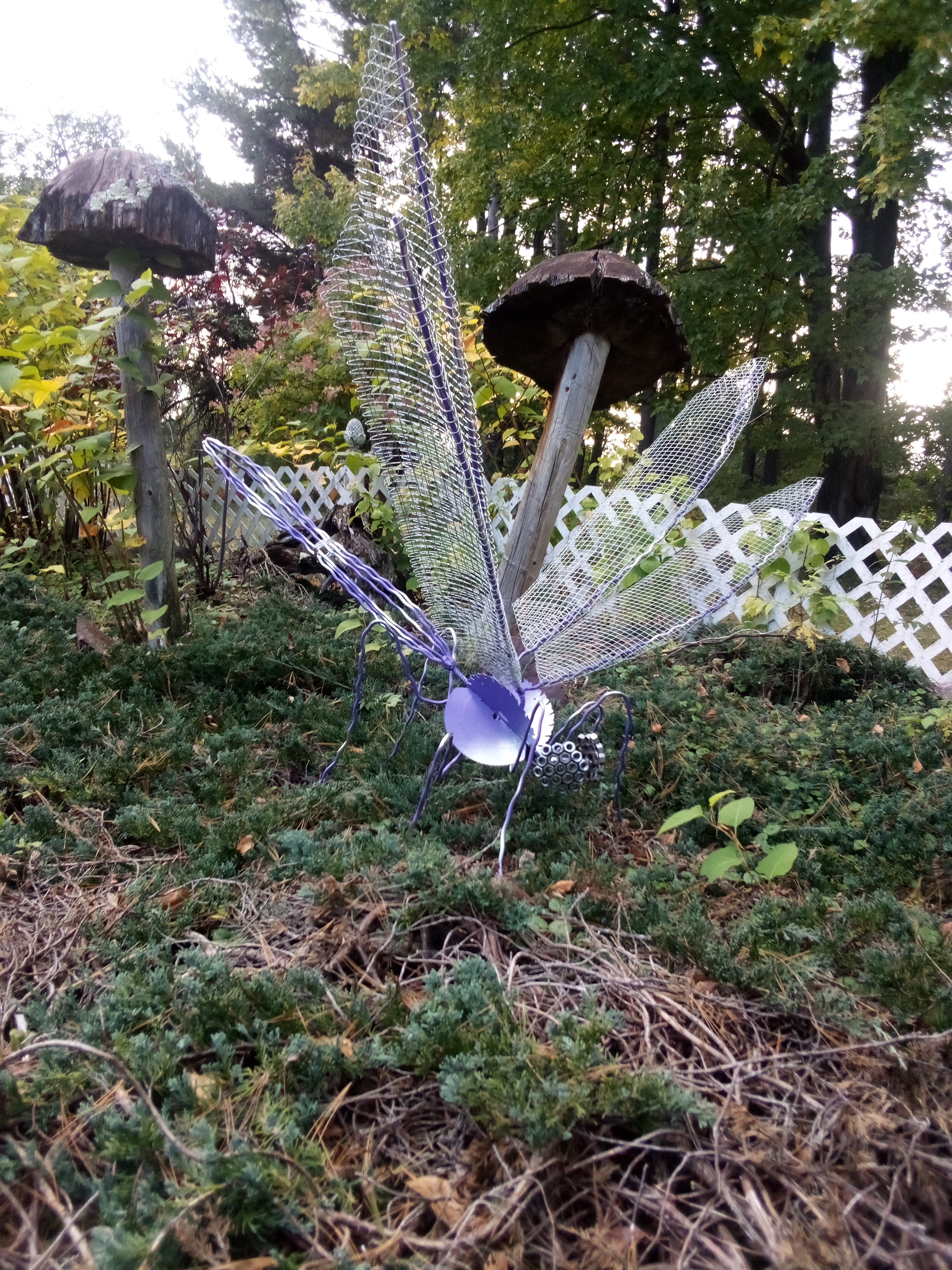 Giant Dragonfly