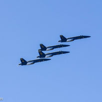 DSC_0027.jpg