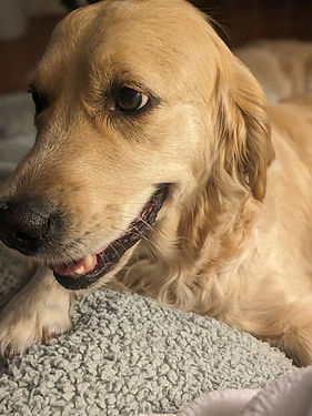 image000000 copy.JPG