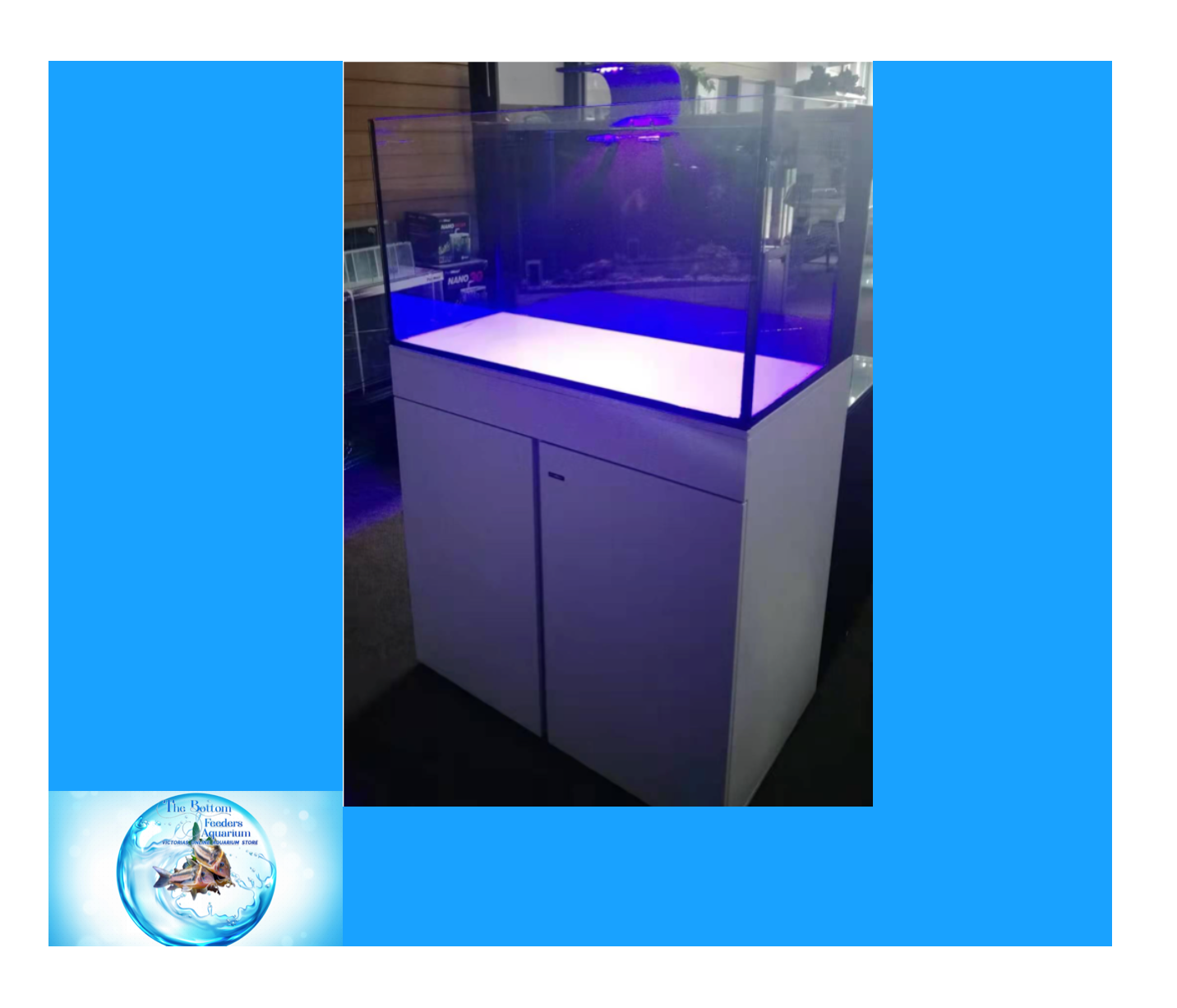 Aquarium Delivery/Setup & Design