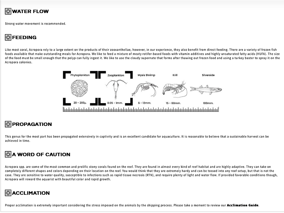 Thumbnail: Acro Carduus Coral