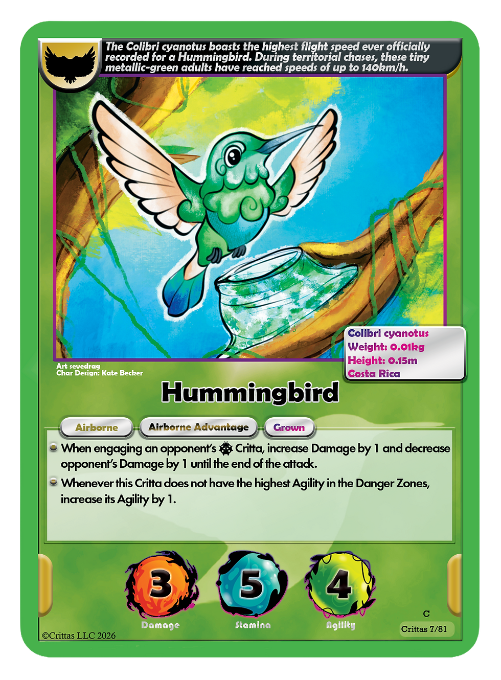 Grown Hummingbird regular