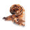 Thumbnail: Autumn Equinox Eloquent Fall Bohemian Scarf, Earthy Tones Wrap