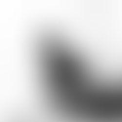 The author, Lisa Mitchell sitting in a chair and smiling